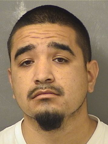  CHRISTOPHER GARCIA Results from Palm Beach County Florida for  CHRISTOPHER GARCIA