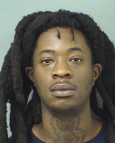  ADLERSON SIMILIEN Results from Palm Beach County Florida for  ADLERSON SIMILIEN