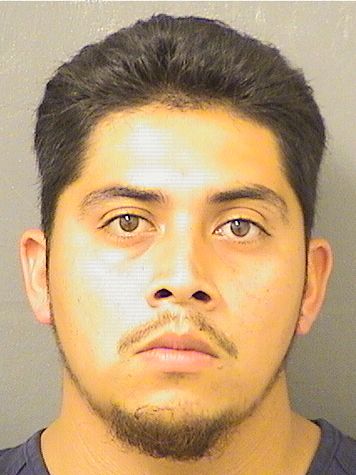  ALEXIS MONTANO Photo For  ALEXIS MONTANO