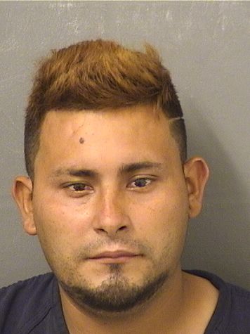  JOSE GERMAN BENITEZPEREZ Resultados de la busqueda para Palm Beach County Florida para  JOSE GERMAN BENITEZPEREZ