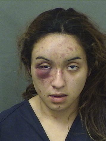  MICHELLE GUZMAN Results from Palm Beach County Florida for  MICHELLE GUZMAN