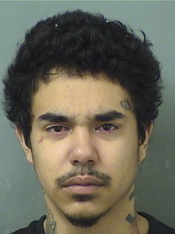  TRISTEN J PENA Results from Palm Beach County Florida for  TRISTEN J PENA