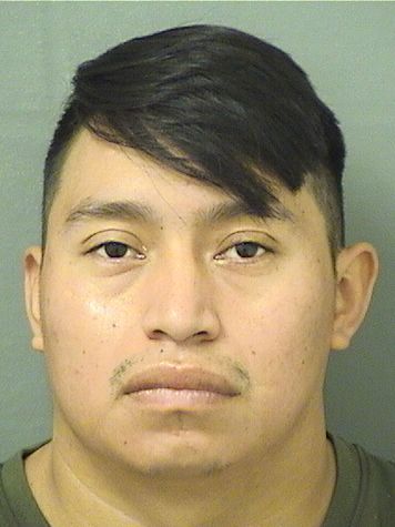  ELISEO ANTIONIO VAILVELASQUEZ Results from Palm Beach County Florida for  ELISEO ANTIONIO VAILVELASQUEZ