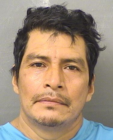  JUAN VAZQUEZ Resultados de la busqueda para Palm Beach County Florida para  JUAN VAZQUEZ