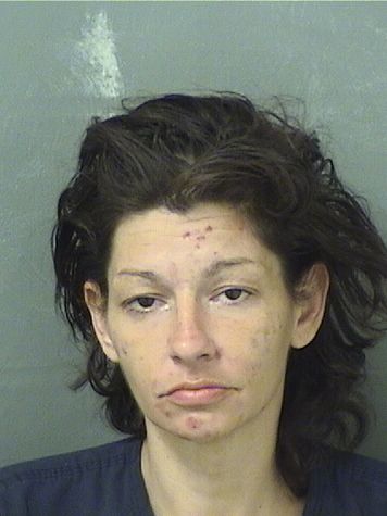  COURTNEY LYNN HONEYCUTT Resultados de la busqueda para Palm Beach County Florida para  COURTNEY LYNN HONEYCUTT