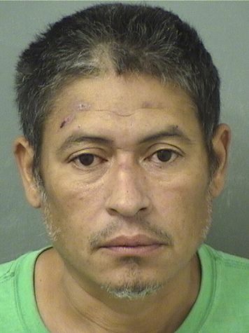  MARCEL TAYLOR Photo For  MARCEL TAYLOR