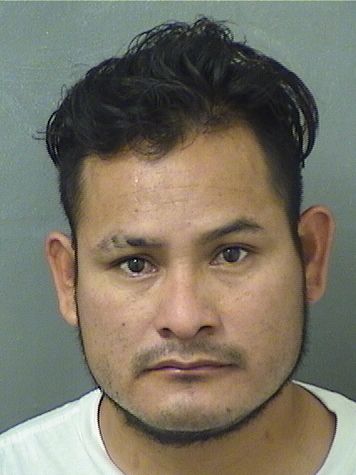  RAUDILIO MANUEL VELAZQUEZSANCHEZ Results from Palm Beach County Florida for  RAUDILIO MANUEL VELAZQUEZSANCHEZ
