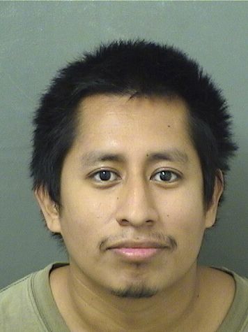  EMILIO M JUAN Results from Palm Beach County Florida for  EMILIO M JUAN