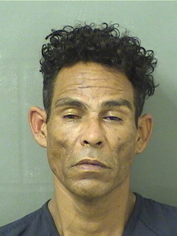  MARCOS ANTONIO IBANEZREYES Results from Palm Beach County Florida for  MARCOS ANTONIO IBANEZREYES