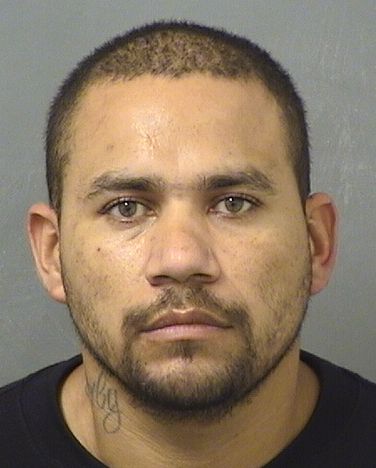  WILMER A VALDEZIRIAS Results from Palm Beach County Florida for  WILMER A VALDEZIRIAS