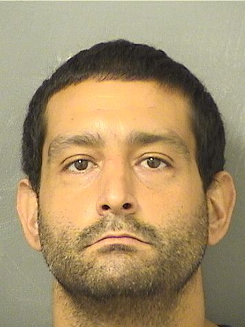  ENRIQUE ROBERTO LEON Results from Palm Beach County Florida for  ENRIQUE ROBERTO LEON