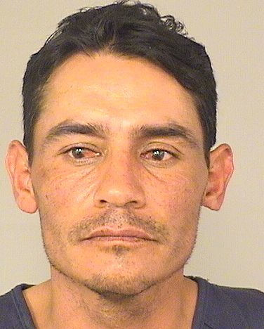  HERMILO TAMAYOGOMEZ Results from Palm Beach County Florida for  HERMILO TAMAYOGOMEZ