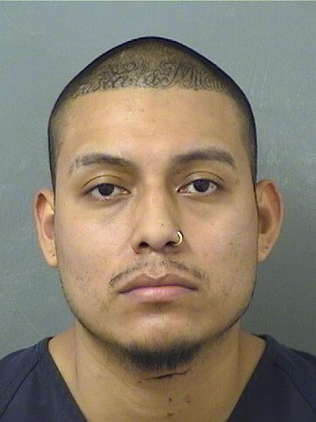  JOSE AVELARDO ESCALANTEPEREZ Results from Palm Beach County Florida for  JOSE AVELARDO ESCALANTEPEREZ