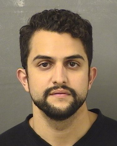  ADAM STEPHAN MEJIA Results from Palm Beach County Florida for  ADAM STEPHAN MEJIA