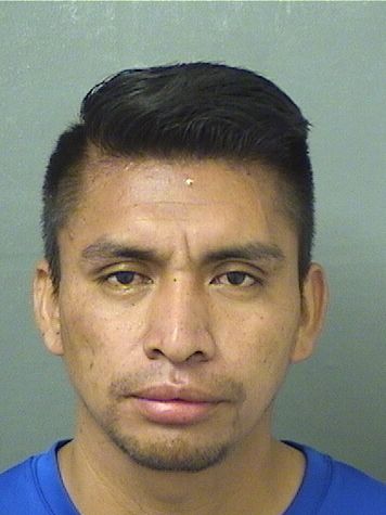  RICARDO NICOLAS PEDRO Results from Palm Beach County Florida for  RICARDO NICOLAS PEDRO