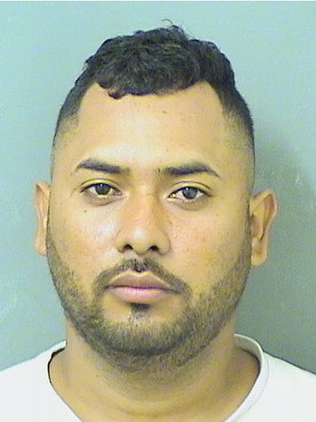  JENRRY FRANCISCO SALINASSANTOS Results from Palm Beach County Florida for  JENRRY FRANCISCO SALINASSANTOS