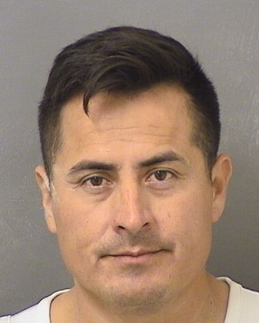 JOSE CASTRO Photos For  JOSE CASTRO  JOSE CASTRO Photo For  JOSE CASTRO