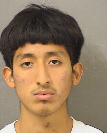  ILEAN PEREZ Results from Palm Beach County Florida for  ILEAN PEREZ