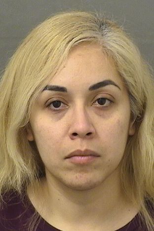  ROSA M GARCIA Results from Palm Beach County Florida for  ROSA M GARCIA