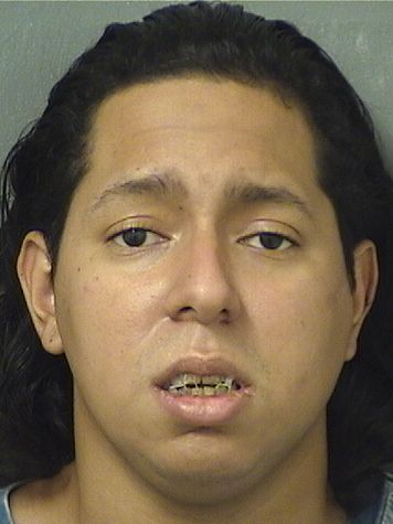  REIKEAVICK ALEXANDER PIMENTELMATUTE Results from Palm Beach County Florida for  REIKEAVICK ALEXANDER PIMENTELMATUTE