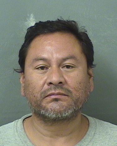  JORGE CESAR ROMANBARLANDAS Results from Palm Beach County Florida for  JORGE CESAR ROMANBARLANDAS