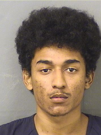  MARIO TORRESMARTINEZ Results from Palm Beach County Florida for  MARIO TORRESMARTINEZ