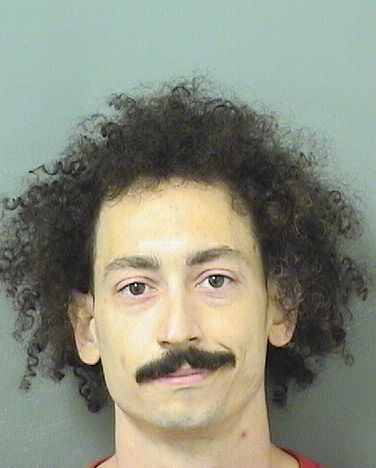  ANTONINO GINO BOLOGNA Results from Palm Beach County Florida for  ANTONINO GINO BOLOGNA