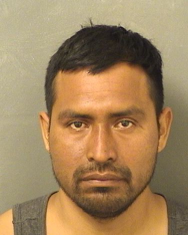  WILMER OTONIEL CLAUDIOPEREZ Results from Palm Beach County Florida for  WILMER OTONIEL CLAUDIOPEREZ