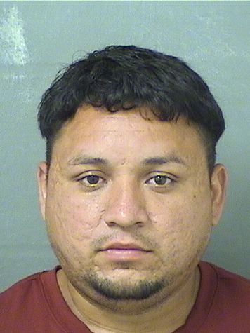  MARIO ANTONIO GRANADOSCABRERA Results from Palm Beach County Florida for  MARIO ANTONIO GRANADOSCABRERA