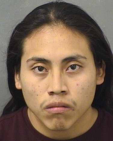  DIEGO PASCUAL FRANCISCO Results from Palm Beach County Florida for  DIEGO PASCUAL FRANCISCO