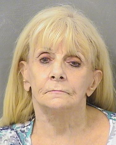  CAROL ANN GANGI Results from Palm Beach County Florida for  CAROL ANN GANGI