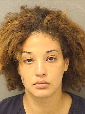  ANDREINA SIMET Results from Palm Beach County Florida for  ANDREINA SIMET