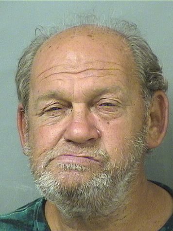  RONALD WAYNE DUBIN Results from Palm Beach County Florida for  RONALD WAYNE DUBIN