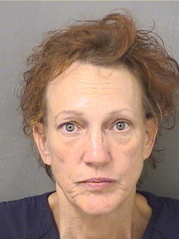  KELLY Y LANE Photo For  KELLY Y LANE