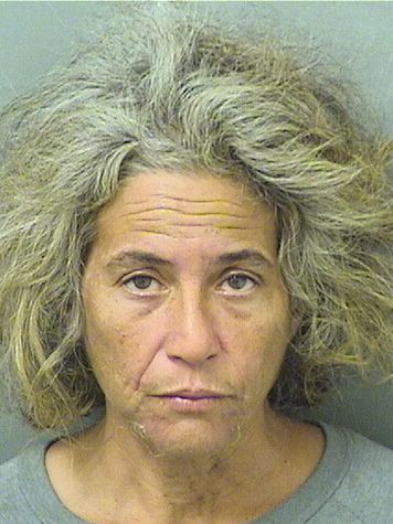  WENDY ANN TOGNACCI Results from Palm Beach County Florida for  WENDY ANN TOGNACCI