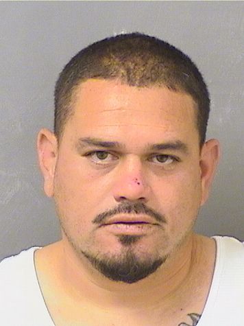  JOSE A MENDOZA Results from Palm Beach County Florida for  JOSE A MENDOZA