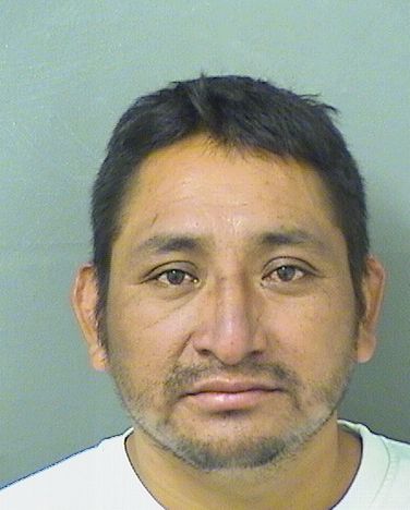  ISAIAS LOPEZORDONEZ Results from Palm Beach County Florida for  ISAIAS LOPEZORDONEZ