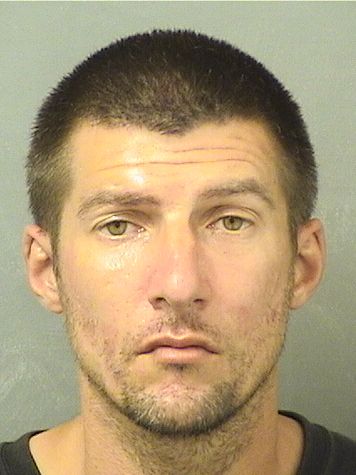  ADAM MICHAEL LARSEN Results from Palm Beach County Florida for  ADAM MICHAEL LARSEN