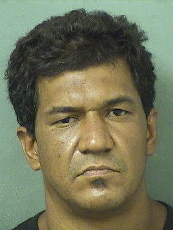  ANGELO L CRUZ Results from Palm Beach County Florida for  ANGELO L CRUZ