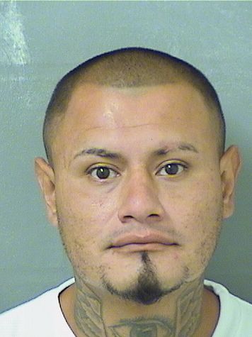  CESAR ESTUARDO JAMES Results from Palm Beach County Florida for  CESAR ESTUARDO JAMES