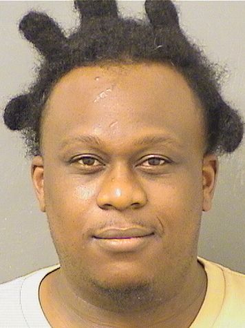  WALTER  Jr JOHNSON Results from Palm Beach County Florida for  WALTER  Jr JOHNSON