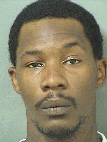  CHRISTOPHER J LEWIS Results from Palm Beach County Florida for  CHRISTOPHER J LEWIS