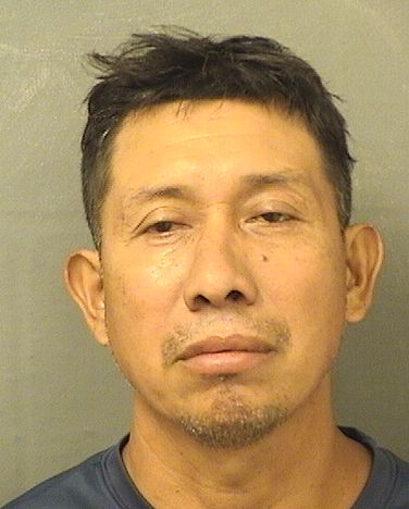  JUAN DOMINGO HERNANDEZCOTA Resultados de la busqueda para Palm Beach County Florida para  JUAN DOMINGO HERNANDEZCOTA