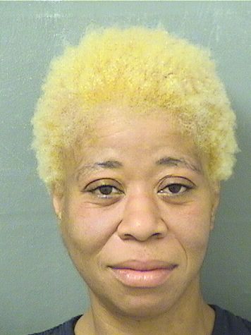  TIFFANY N DUNSON Results from Palm Beach County Florida for  TIFFANY N DUNSON