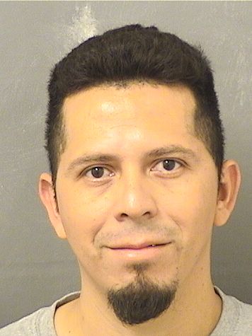  BAYRON VILLATOROVASQUEZ Resultados de la busqueda para Palm Beach County Florida para  BAYRON VILLATOROVASQUEZ