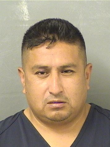  HUGO MARCOS Resultados de la busqueda para Palm Beach County Florida para  HUGO MARCOS