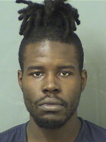  AMEDSON NOEL JANVIER Results from Palm Beach County Florida for  AMEDSON NOEL JANVIER