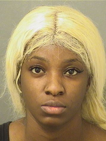  IVANNA LYKOIA GIBSON Results from Palm Beach County Florida for  IVANNA LYKOIA GIBSON