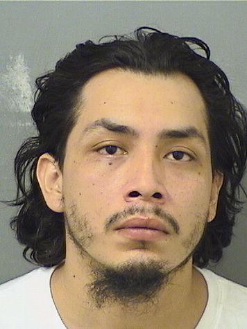  DAVID LOPEZ Results from Palm Beach County Florida for  DAVID LOPEZ