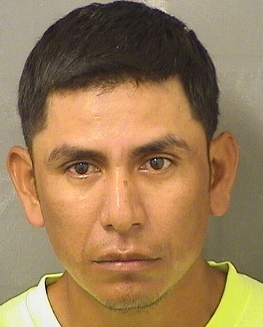  PEDRO ISAAC HERNANDEZGUILLEN Results from Palm Beach County Florida for  PEDRO ISAAC HERNANDEZGUILLEN